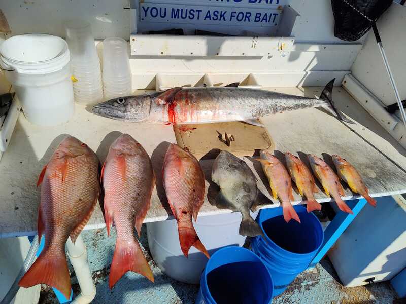 2022 Deep Sea Fishing with Reef Bandit Fishing Charters