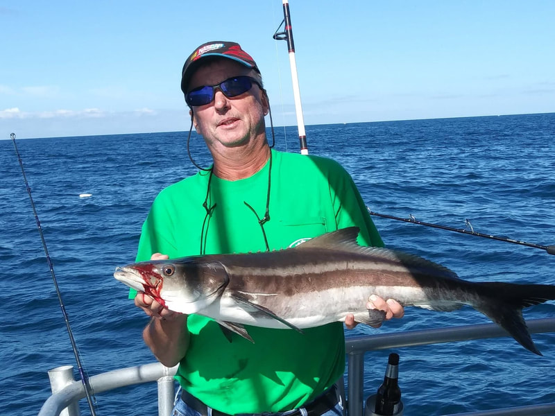 Cobia caught with Reef Bandit Fishing Charters