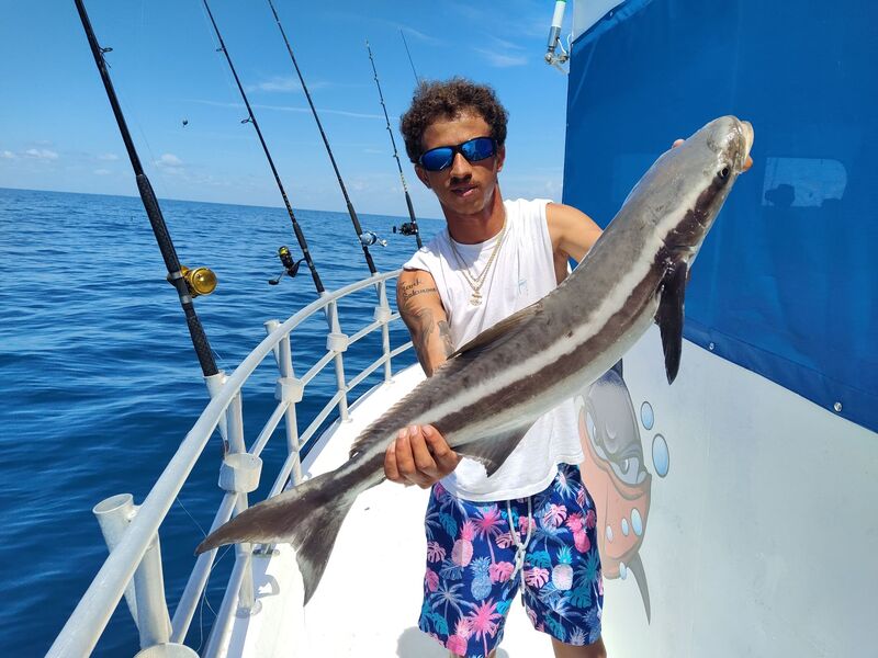 Cobia caught with Reef Bandit Fishing Charters